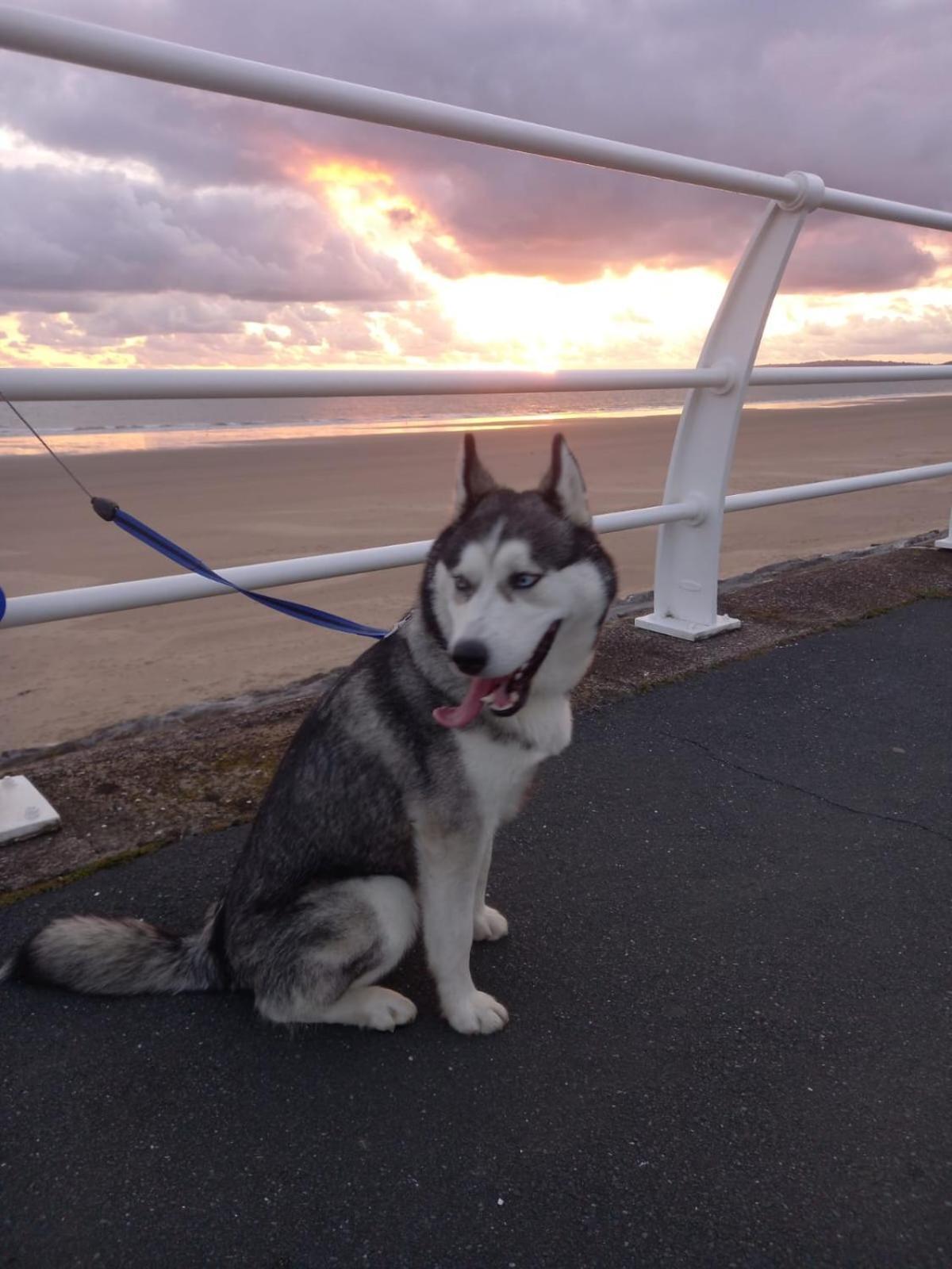 Driftmark Beachfront Location Aberavon Beach Sea Views Large Driveway Parking Private Site Fibre Optic Wi Fi Port Talbot Dış mekan fotoğraf